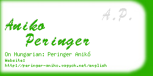 aniko peringer business card